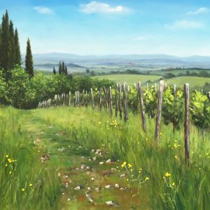 Looking at the Chianti hills
