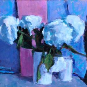 Ortensie bianche