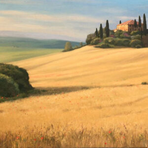 Campi di grano in val d'Orcia
