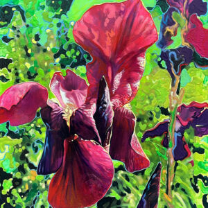 Iris