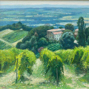 Vigne nel Chianti